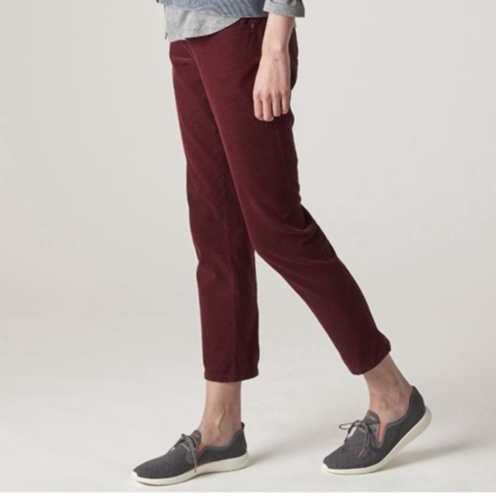 Sperry Microcord 5 Pcoket Pant In Tawny Port NWT